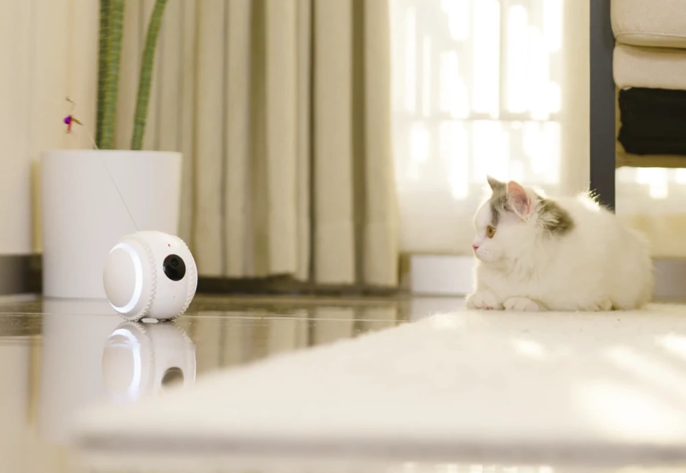 video camera to watch pets