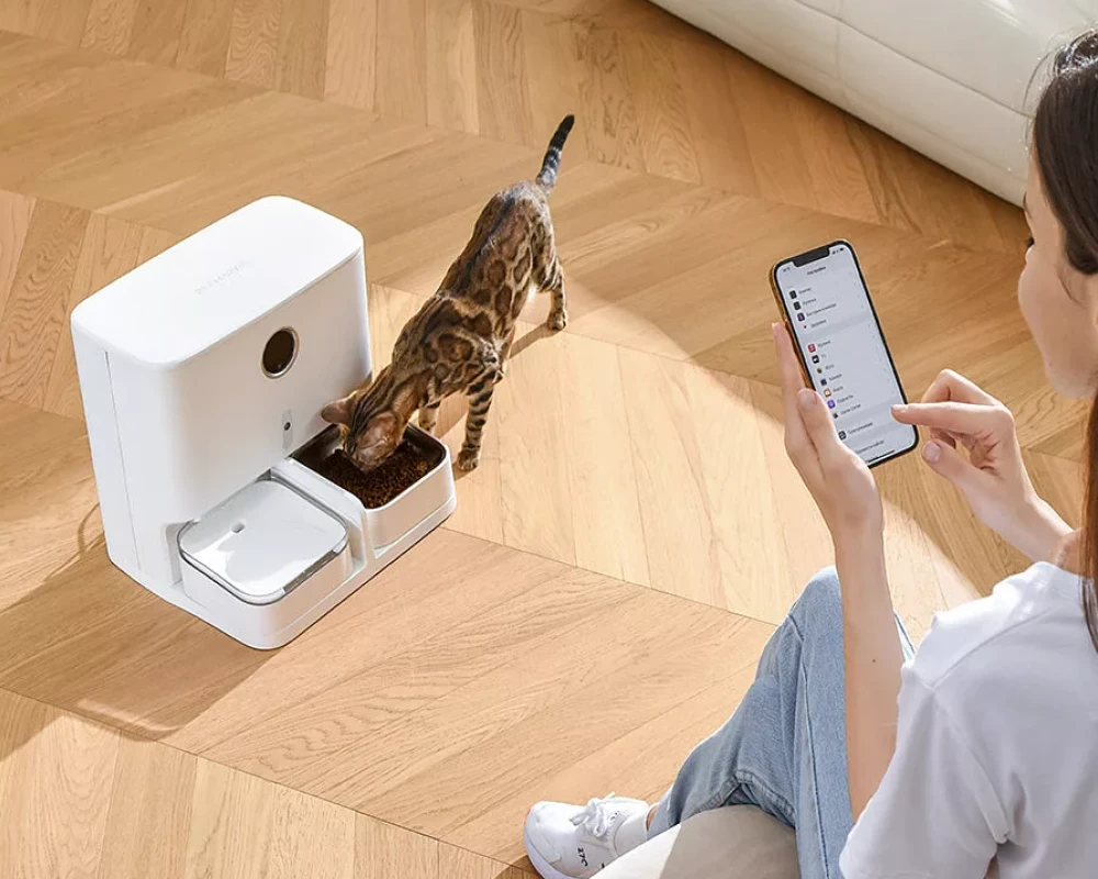 best automatic cat feeder with camera